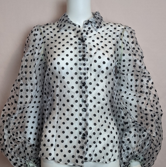 PrettyLittleThing Sheer Polka Dot Blouse - Picture 1 of 6